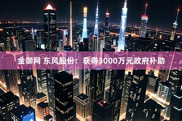 金御网 东风股份：获得3000万元政府补助
