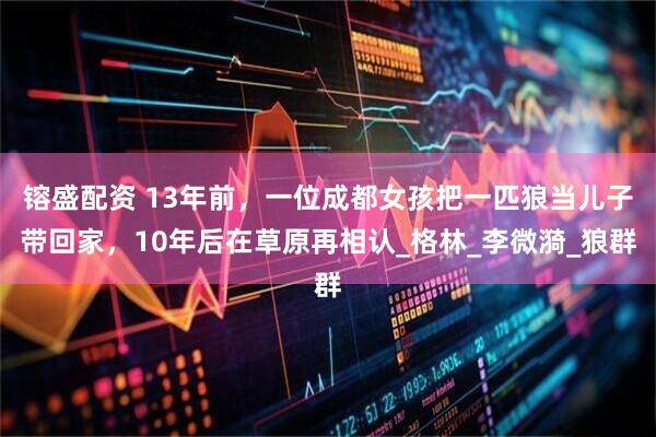 镕盛配资 13年前，一位成都女孩把一匹狼当儿子带回家，10年后在草原再相认_格林_李微漪_狼群