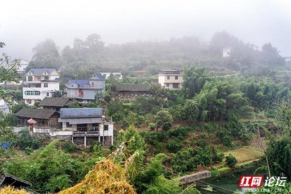 兴盛网  秋游时刻丨万物初醒时：湘西晨光下的静与动