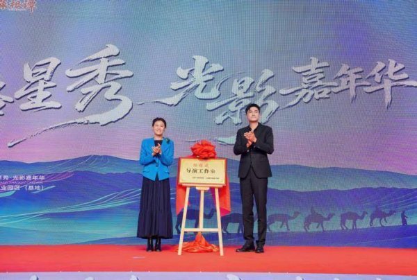 盈富优配 “丝路星秀·光影嘉年华”活动举办